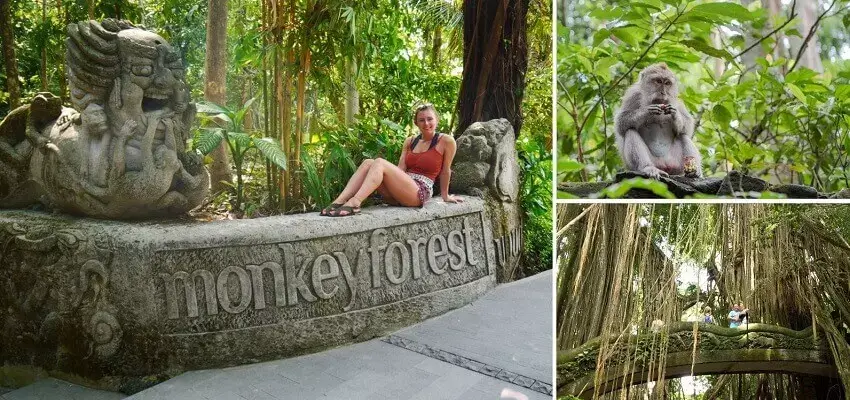 Sacred Ubud Monkey Forest Sanctuary
